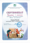Шахматный турнир "Юный шахматист", 2023